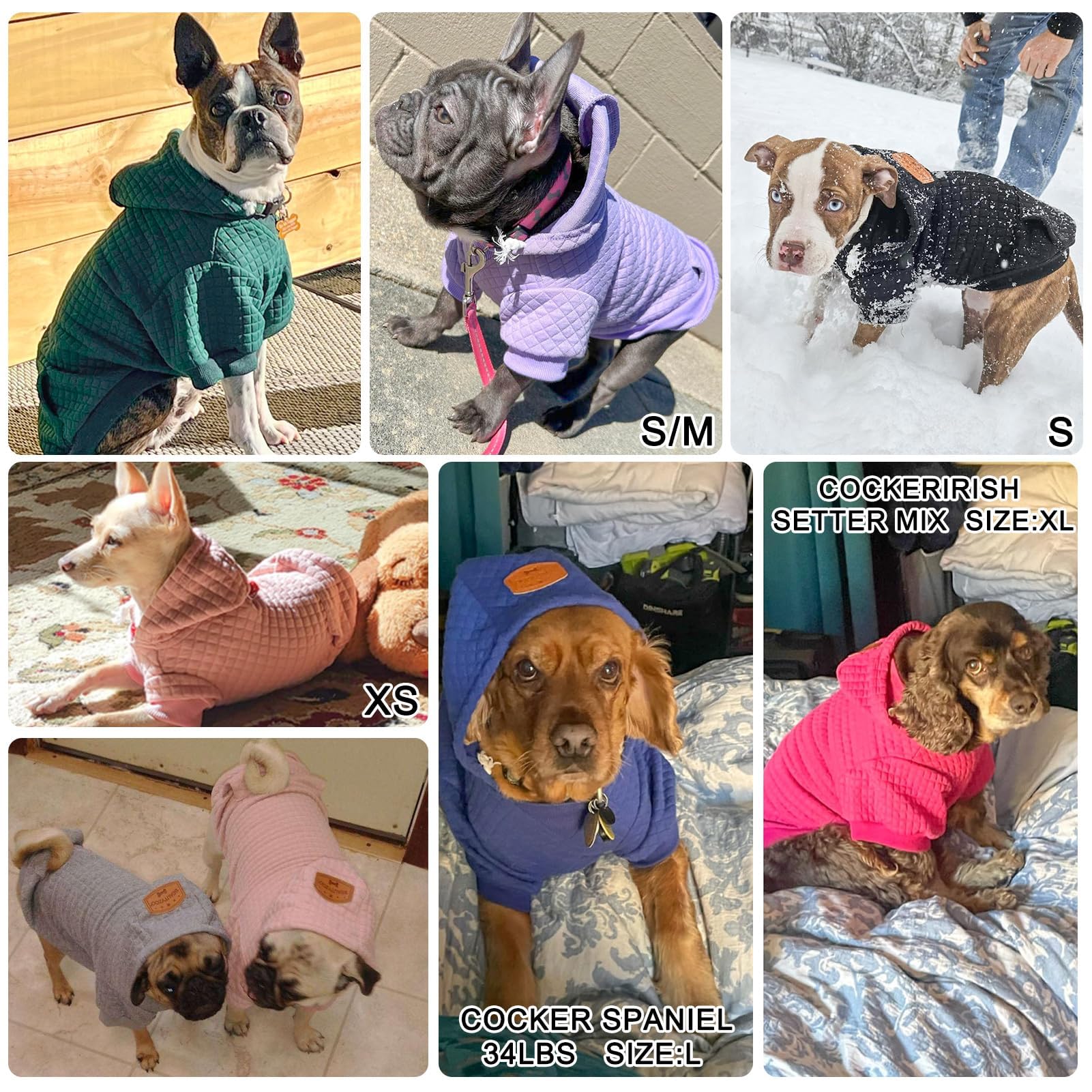 BEAUTYZOO small dog hoodie color variants display vibrant styles for different occasions