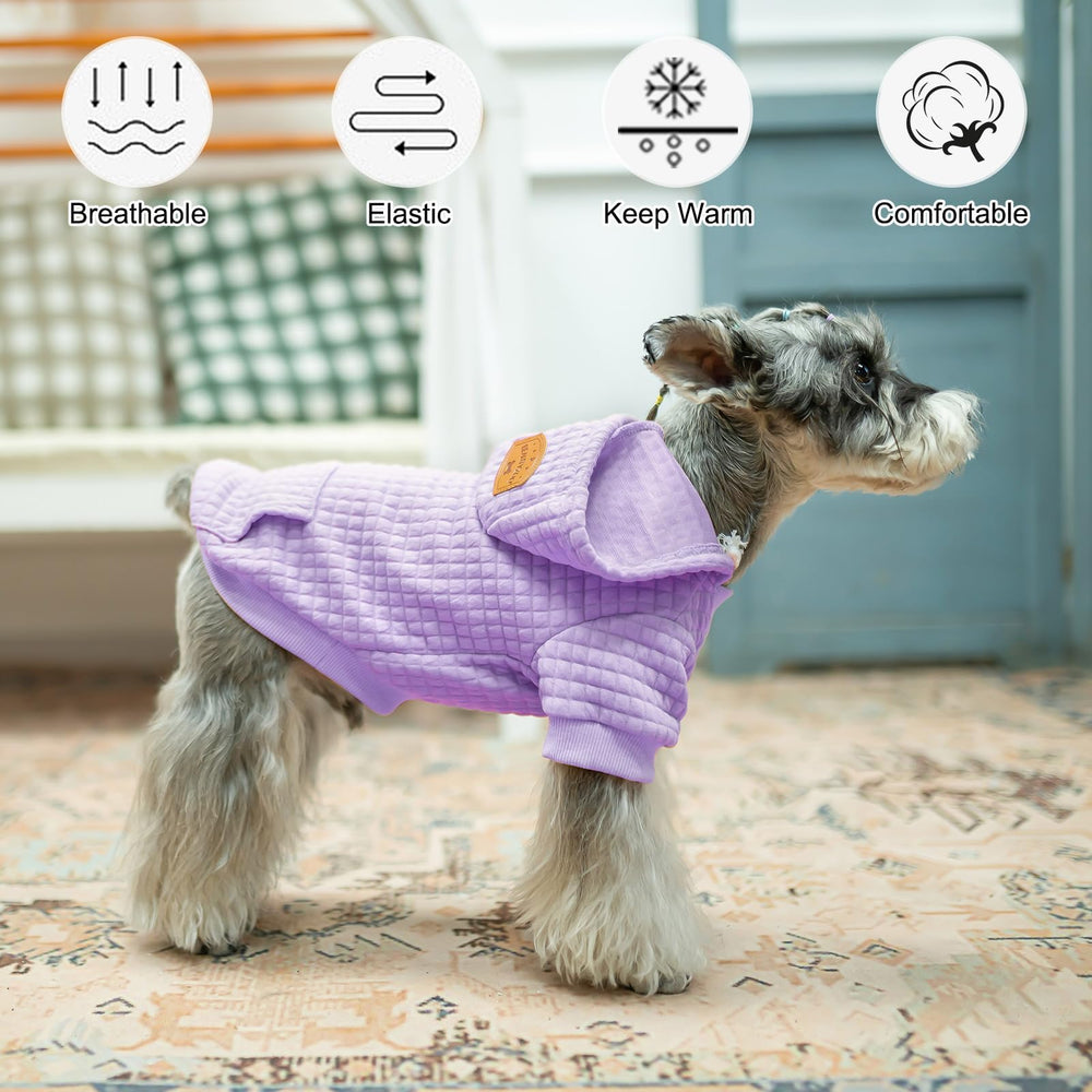Beautyzoo small dog hoodie pockets grey with leash hole for daily walks