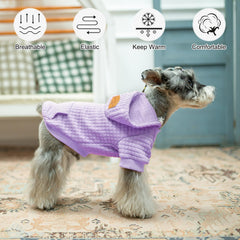 Beautyzoo small dog hoodie pockets grey with leash hole for daily walks