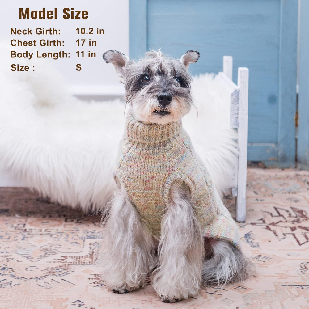 BEAUTYZOO Small Dog Sweater gradient beige on-dog walking scene suggests stylish warmth