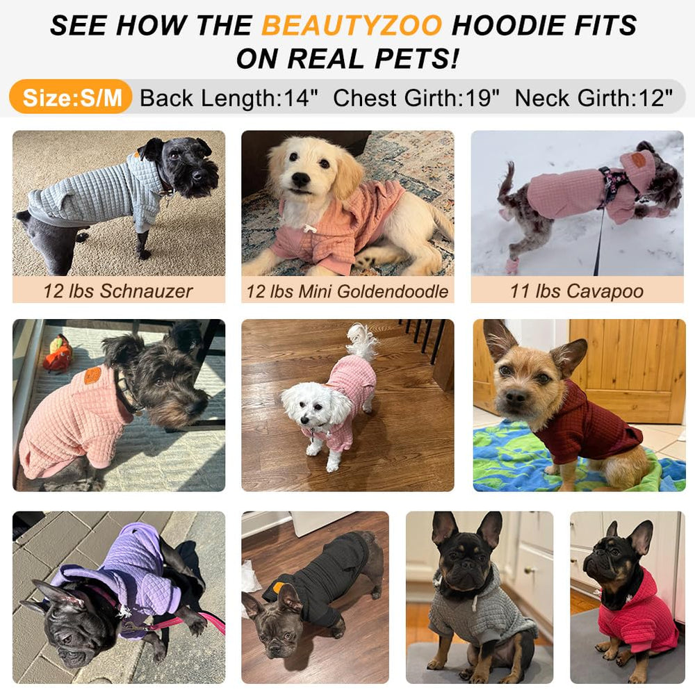 BEAUTYZOO sudadera perro colores disponibles, variedad para combinar con raza y personalidad.