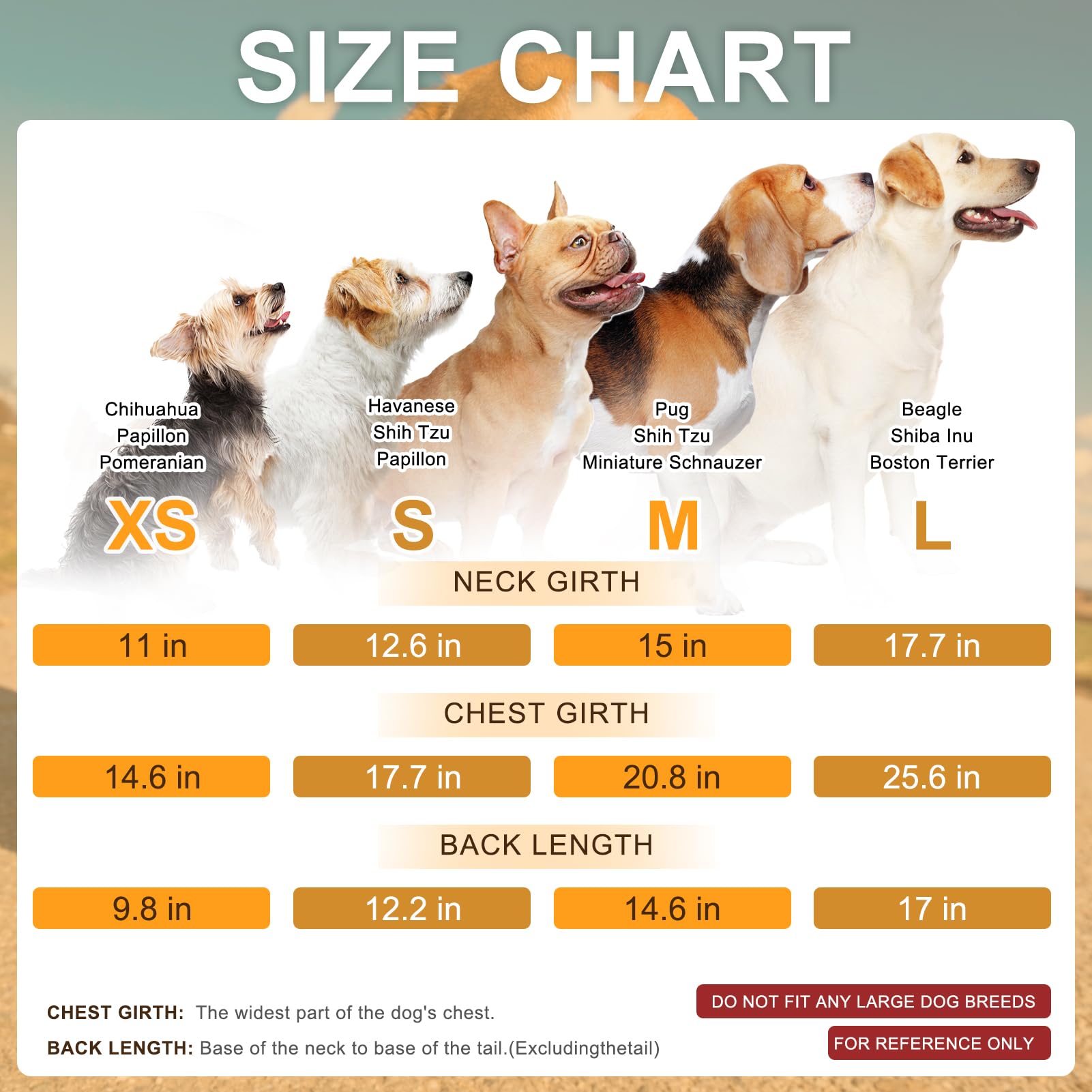BEAUTYZOO dog coat windproof, waterproof shell shields against rain and snow.