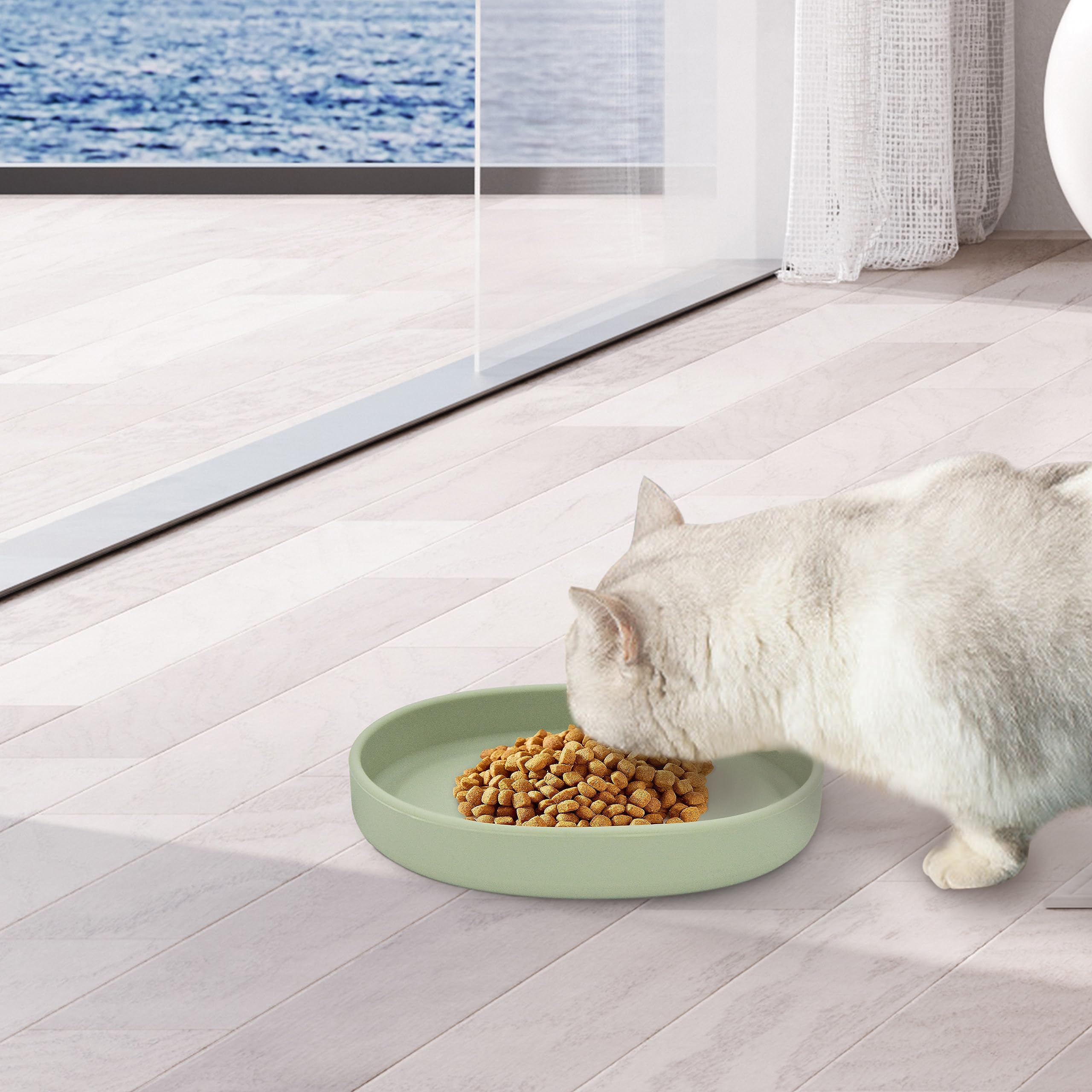 Bebeibon feeding bowls green suit dry or wet food and water.