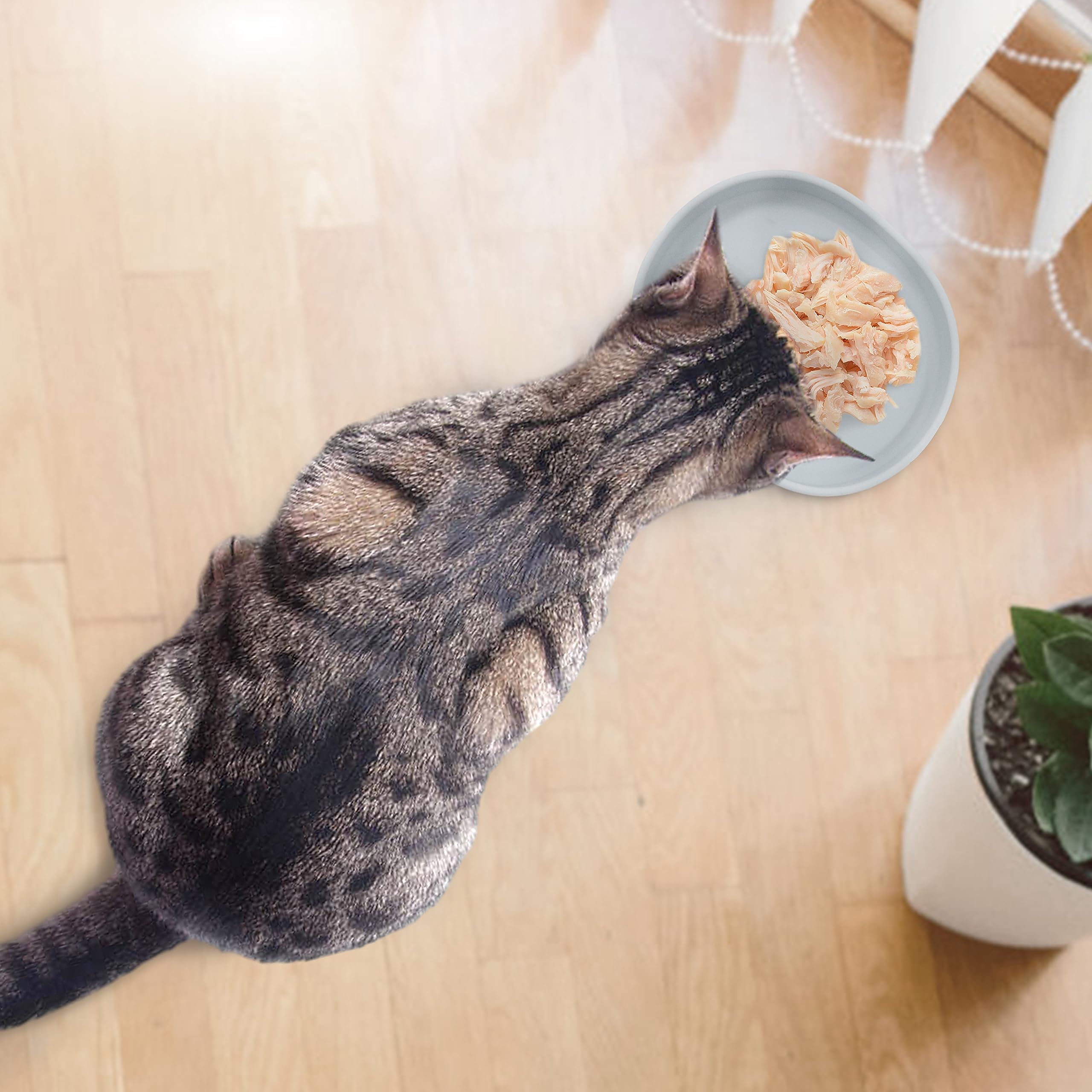 Bebeibon gift-ready two-pack gray bowls ideal for pet lovers.