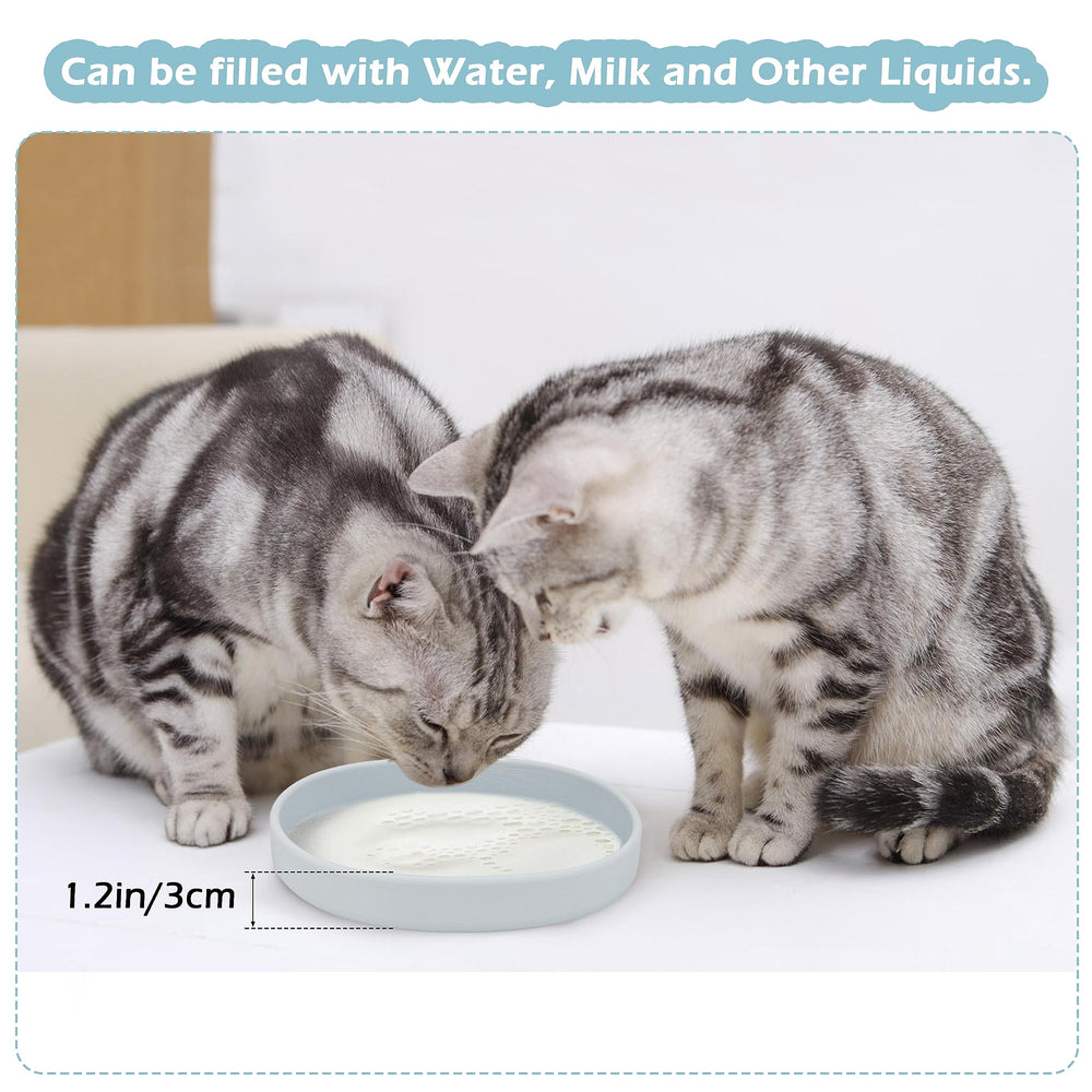Bebeibon non-slip base bowl gray demonstrates stable feeding surface at mealtime.