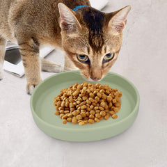 Bebeibon silicone cat-dog bowls in green featuring a durable one-piece design for easy cleaning.