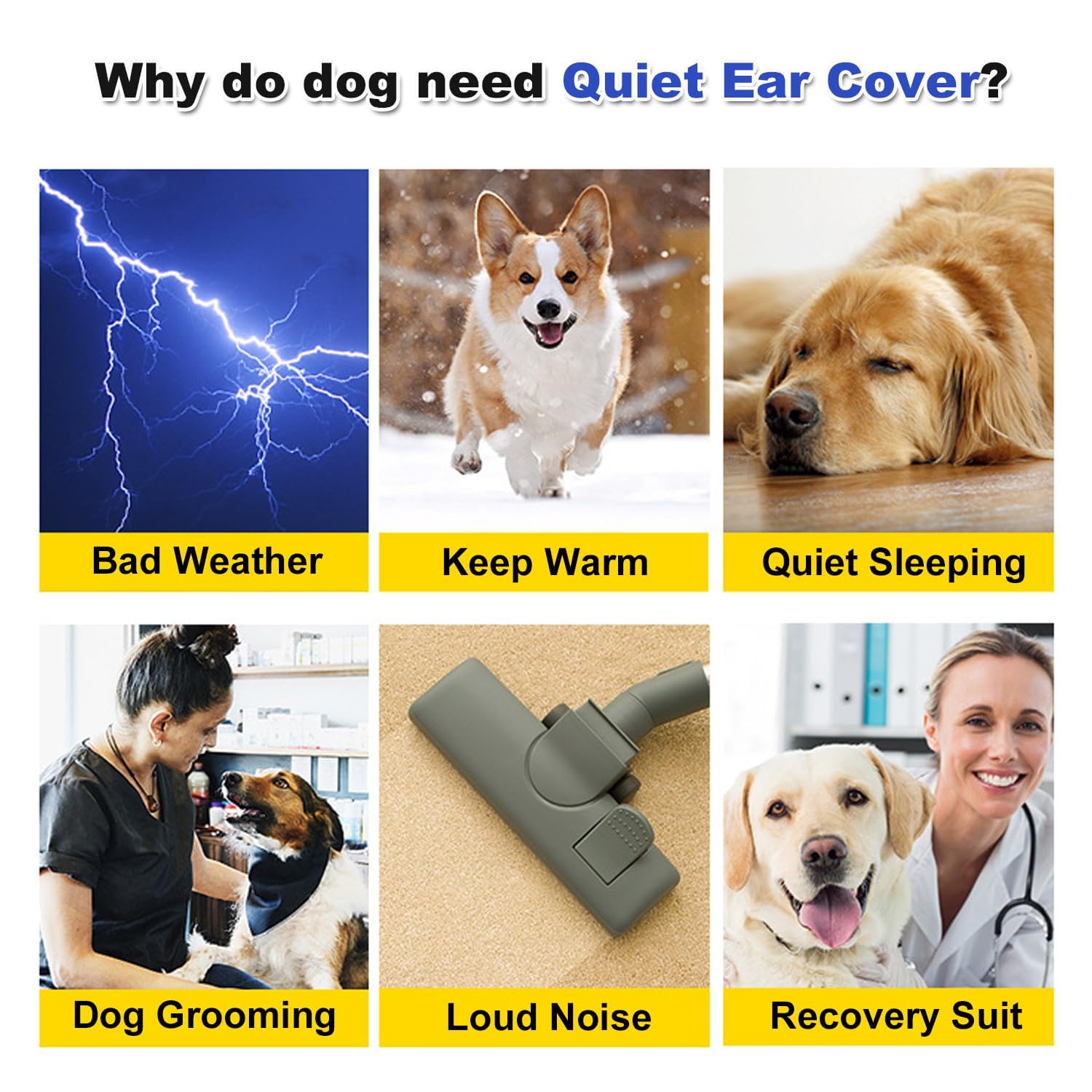 BECHANMIG dog noise protection scene emphasizes calming aid in busy environments.