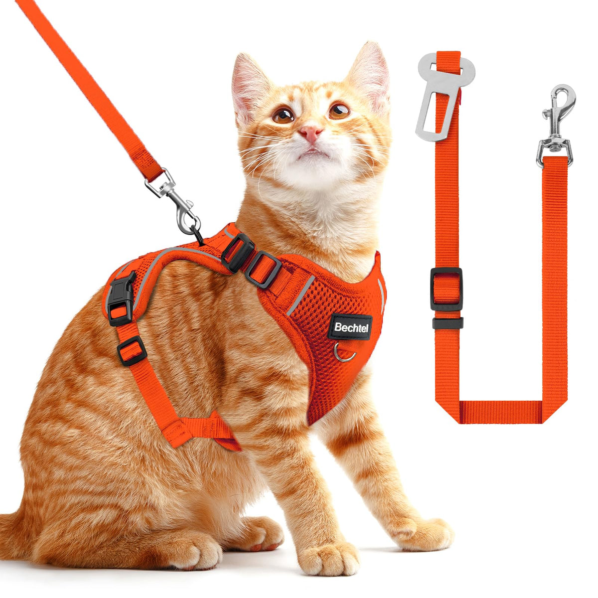 BECHTEL cat harness adjustable fit for daily walks with comfort