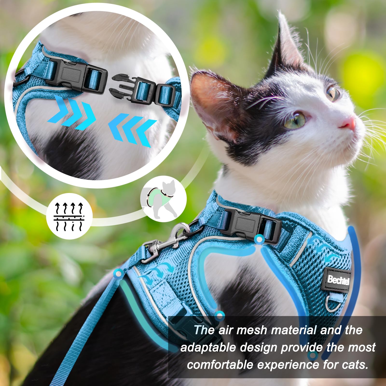 BECHTEL cat harness blue S four buckle adjustment for a customizable fit