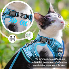 BECHTEL cat harness blue S four buckle adjustment for a customizable fit