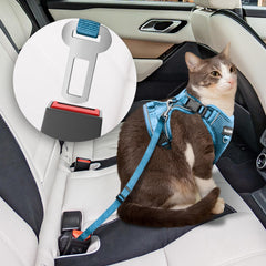 BECHTEL cat harness blue S worn on cat during a calm stroll