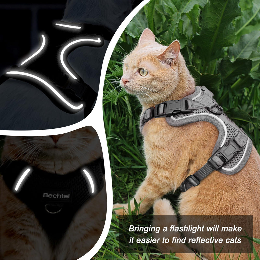 BECHTEL cat harness breathable air mesh keeps cats cool during activity.