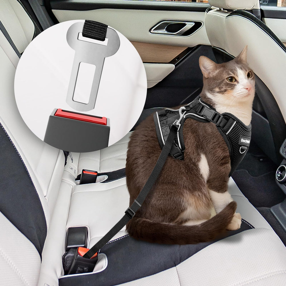 BECHTEL cat harness breathable air mesh keeps your cat cool outdoors