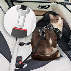 BECHTEL cat harness breathable air mesh keeps your pet cool on outdoor strolls