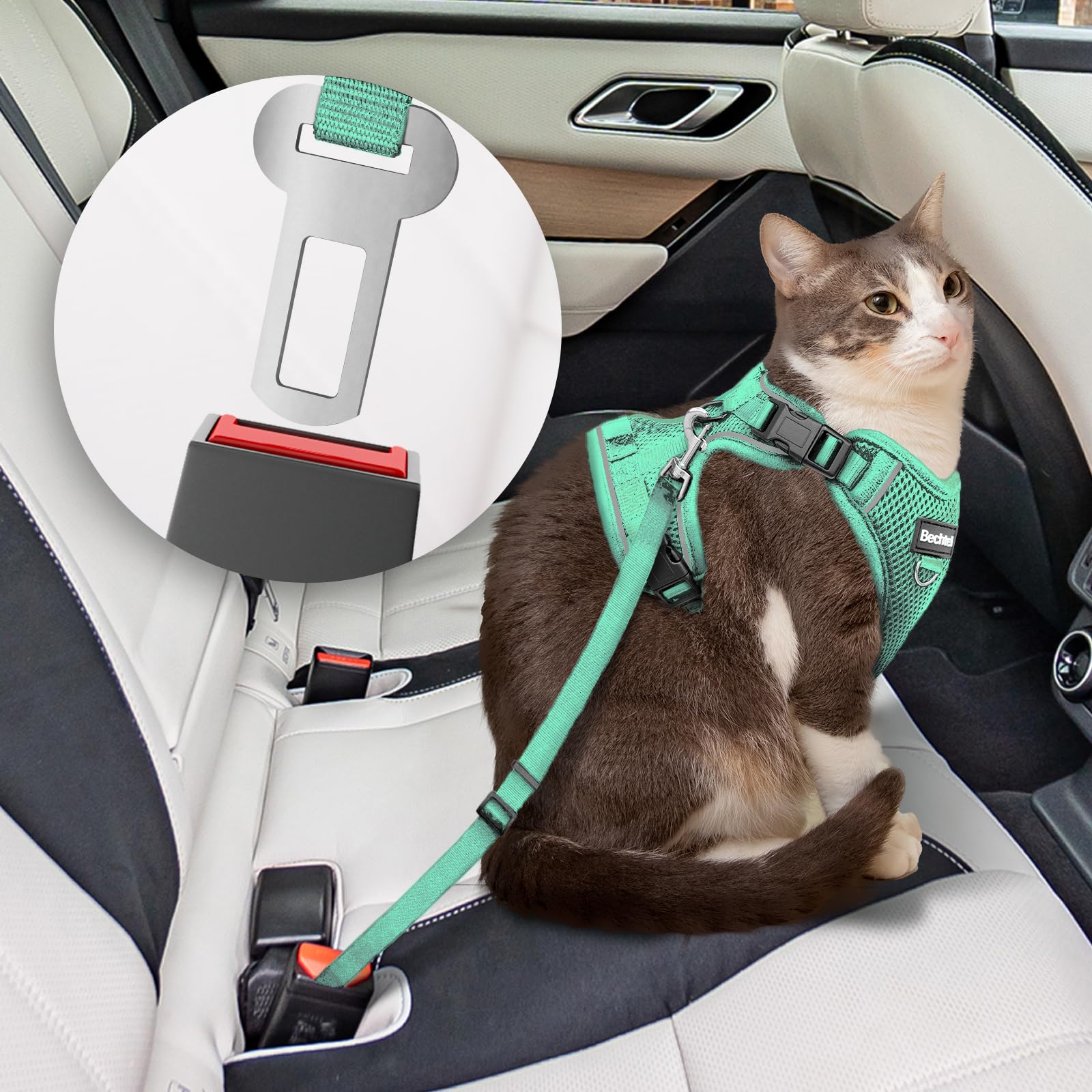 BECHTEL cat harness breathable air mesh keeps cat cool on walks.