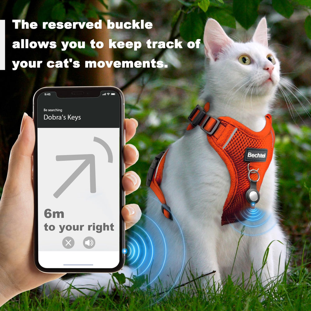 BECHTEL cat harness car-seat-belt-insert enables safer car rides