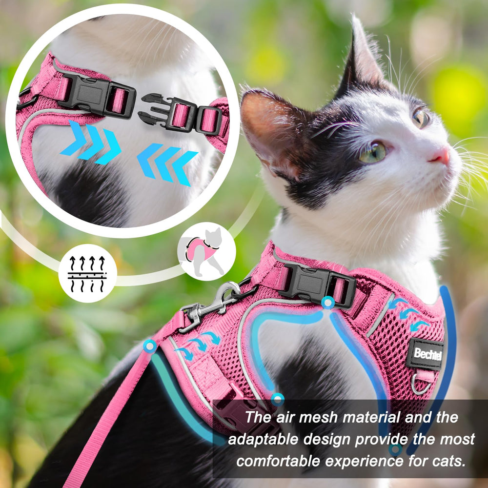 Bechtel cat harness car seat belt insert secures rides safely