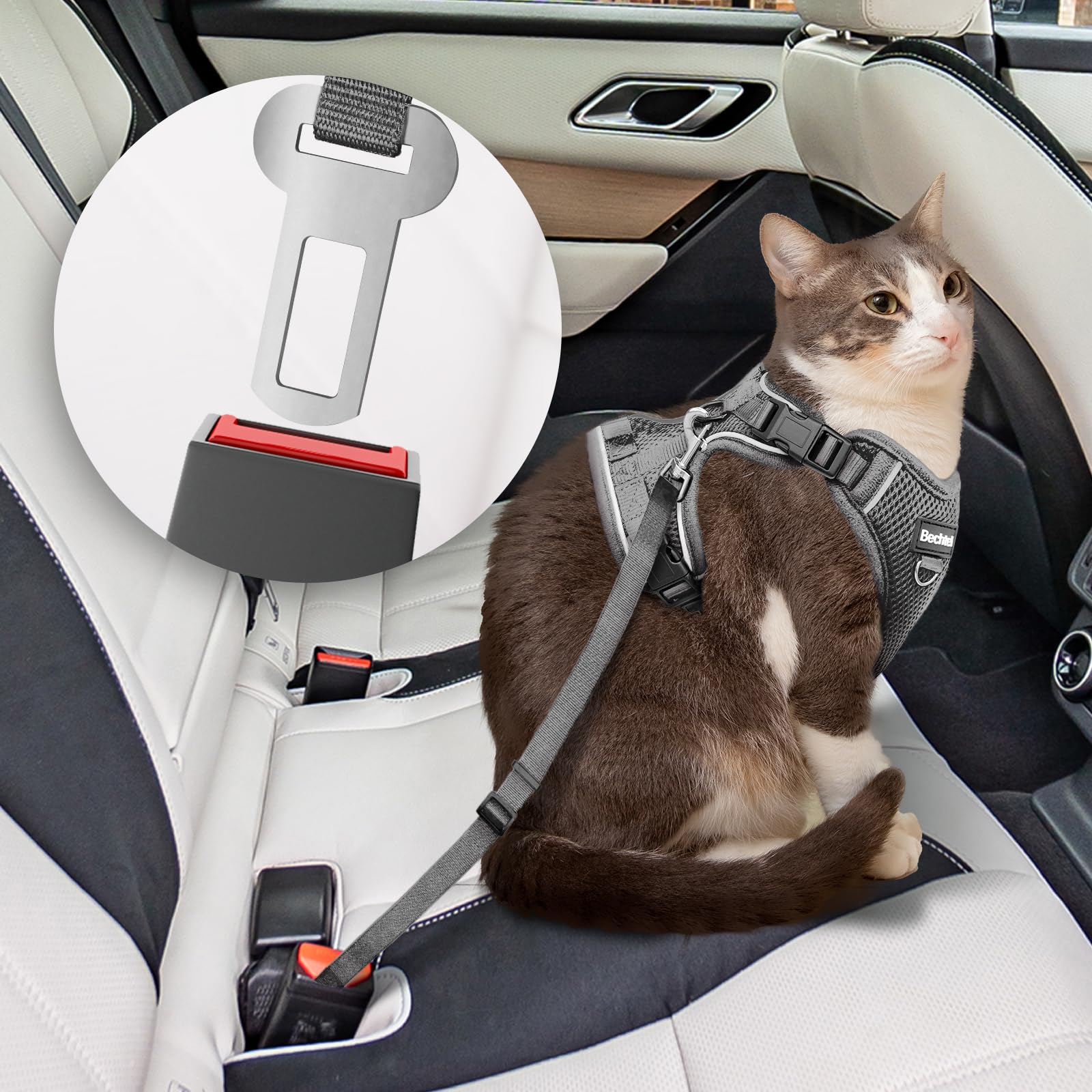 BECHTEL cat harness four-buckle fastening supports snug fit and reduced escape risk.