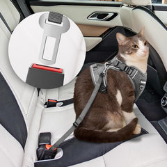 BECHTEL cat harness four-buckle fastening supports snug fit and reduced escape risk.