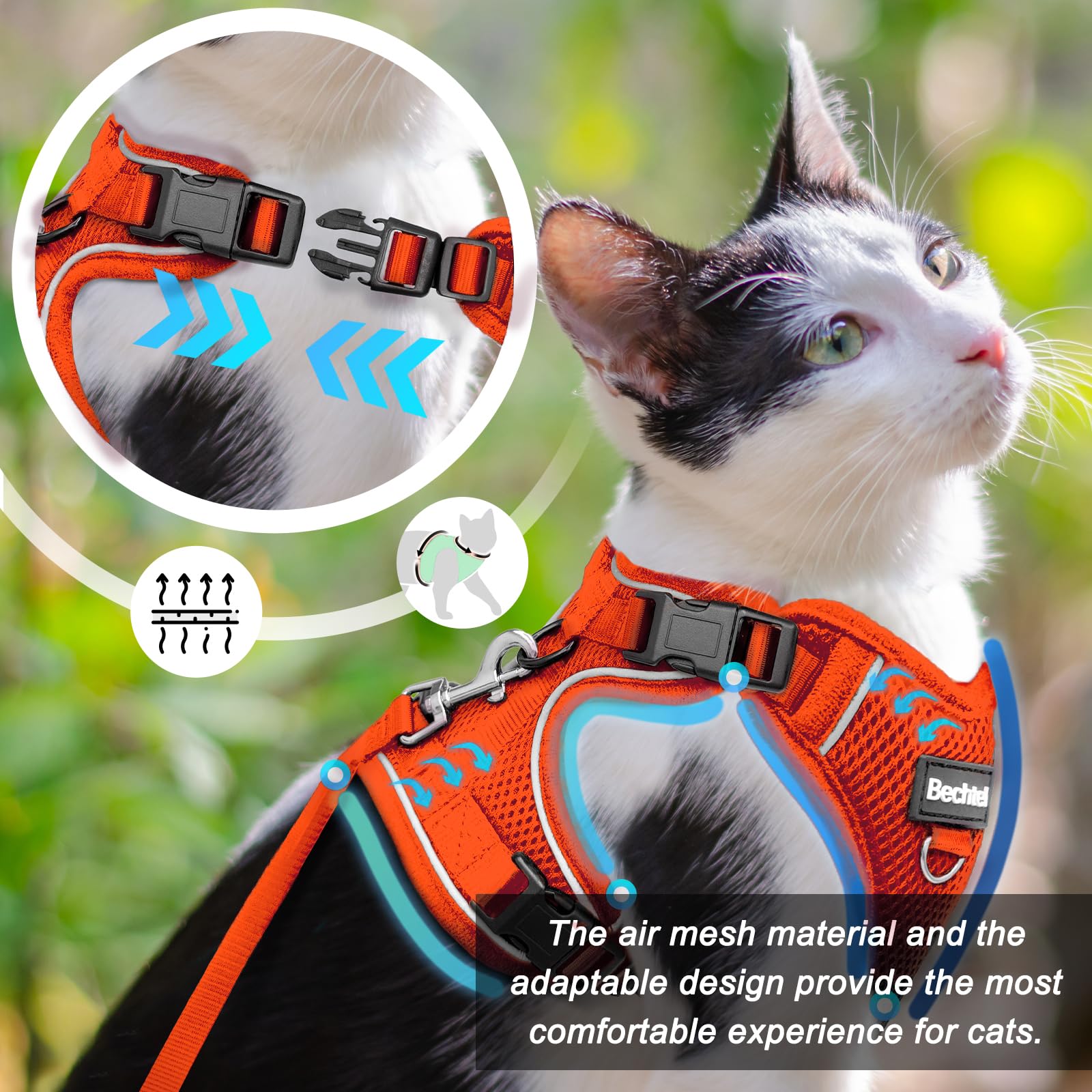 BECHTEL cat harness four-buckle design reduces escapes without discomfort