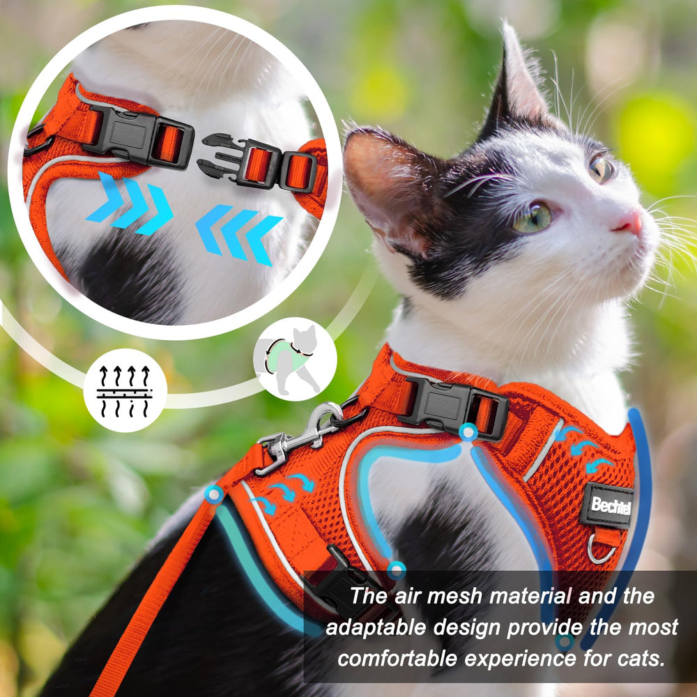 BECHTEL cat harness four-buckle design reduces escapes without discomfort