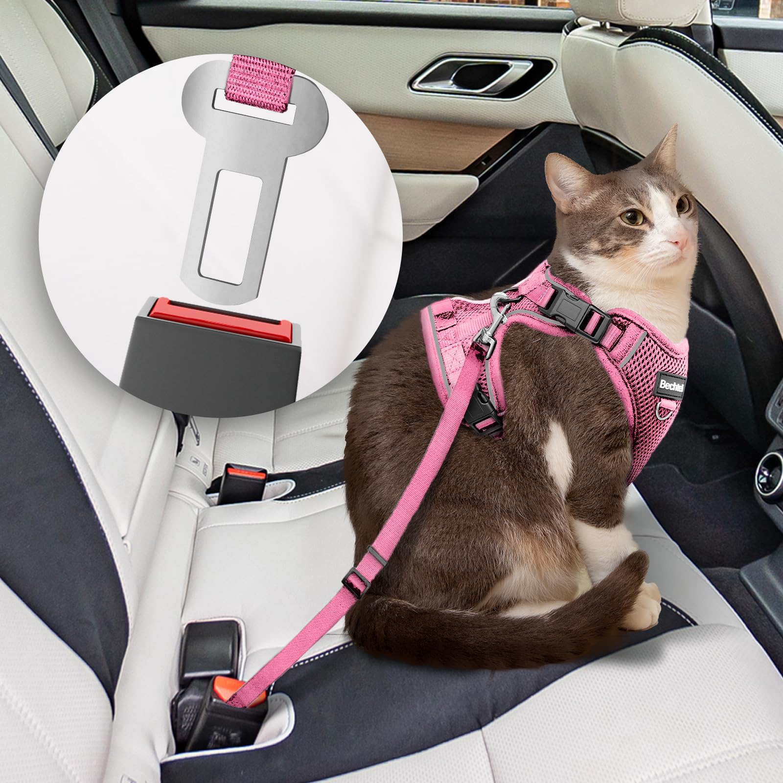 Bechtel cat harness four-direction adjustable ensures snug escape-resistant fit