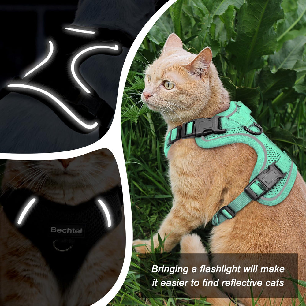 BECHTEL cat harness lightweight and comfortable for daily walks.