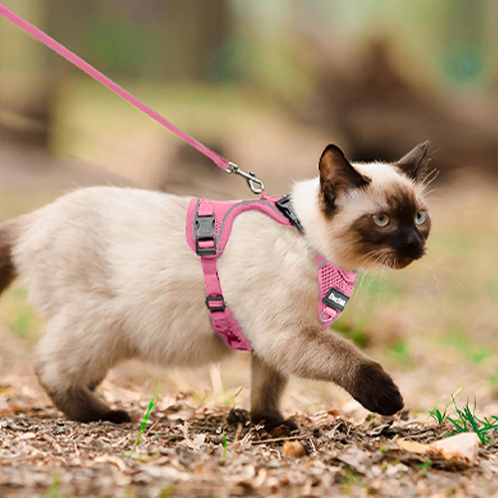 Bechtel cat harness measurement guide helps fit chest and neck