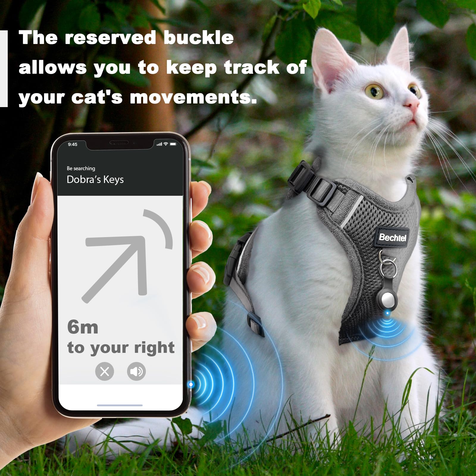 BECHTEL cat harness with reflective strip enhances visibility during dusk walks.