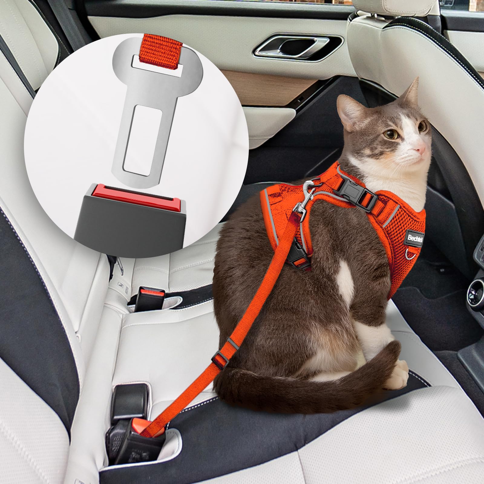BECHTEL cat harness reflective strip enhances visibility during evening outings