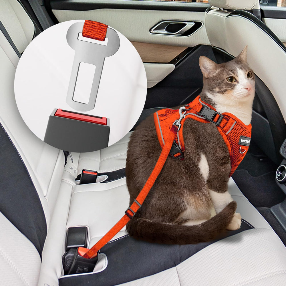 BECHTEL cat harness reflective strip enhances visibility during evening outings