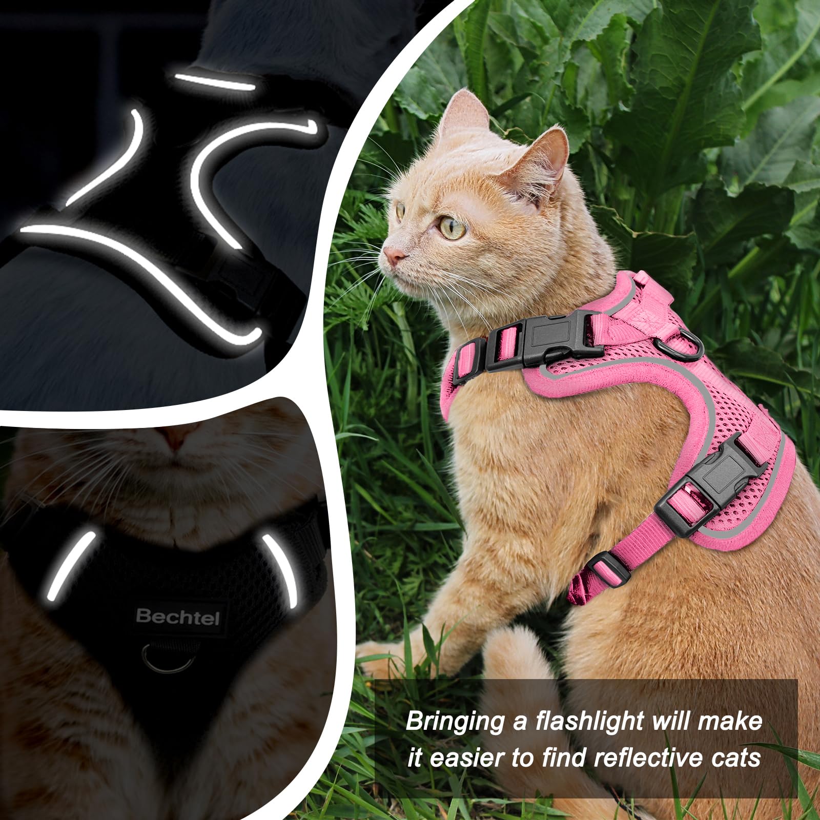 Bechtel cat leash for walking pairs with harness for secure outings