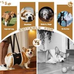 Becivi Dog Lift Harness back buckle demonstrates secure, no-slip design for daily assistance.