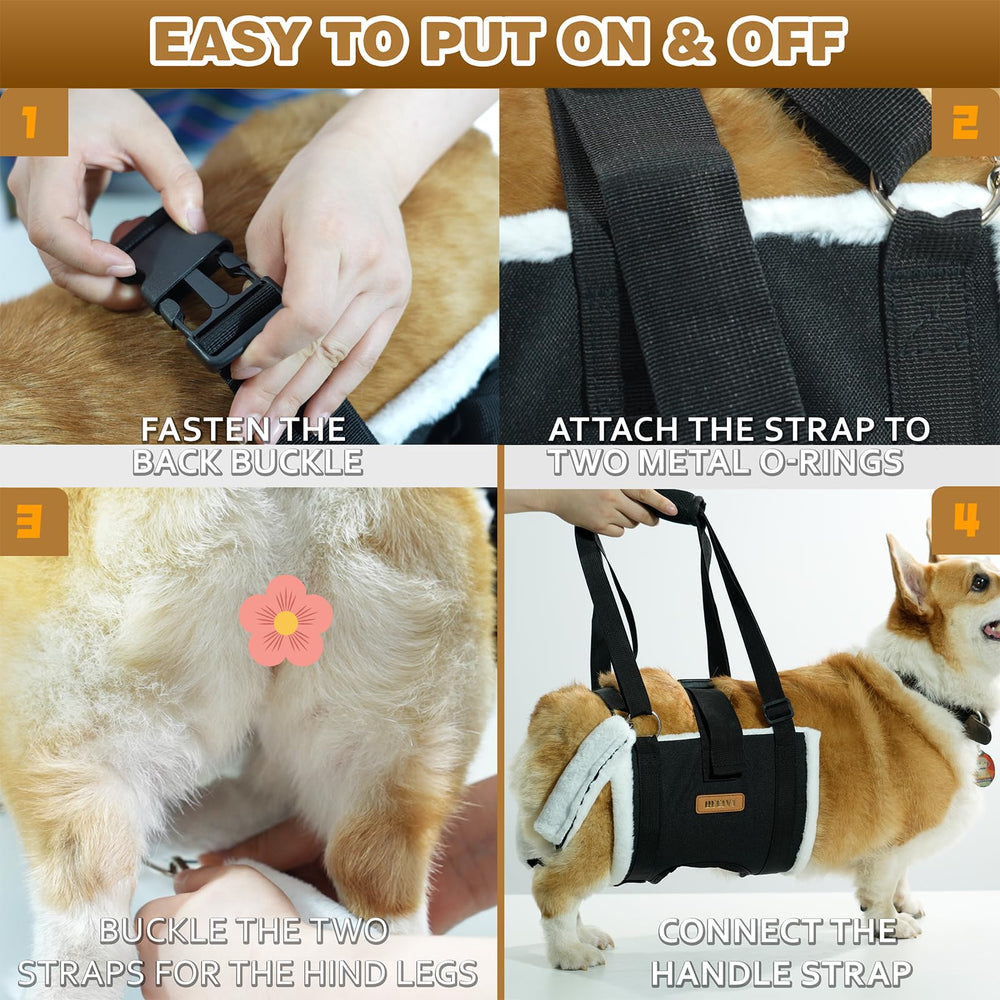 Becivi Dog Lift Harness in car ride image illustrates secure transport and ease of use.