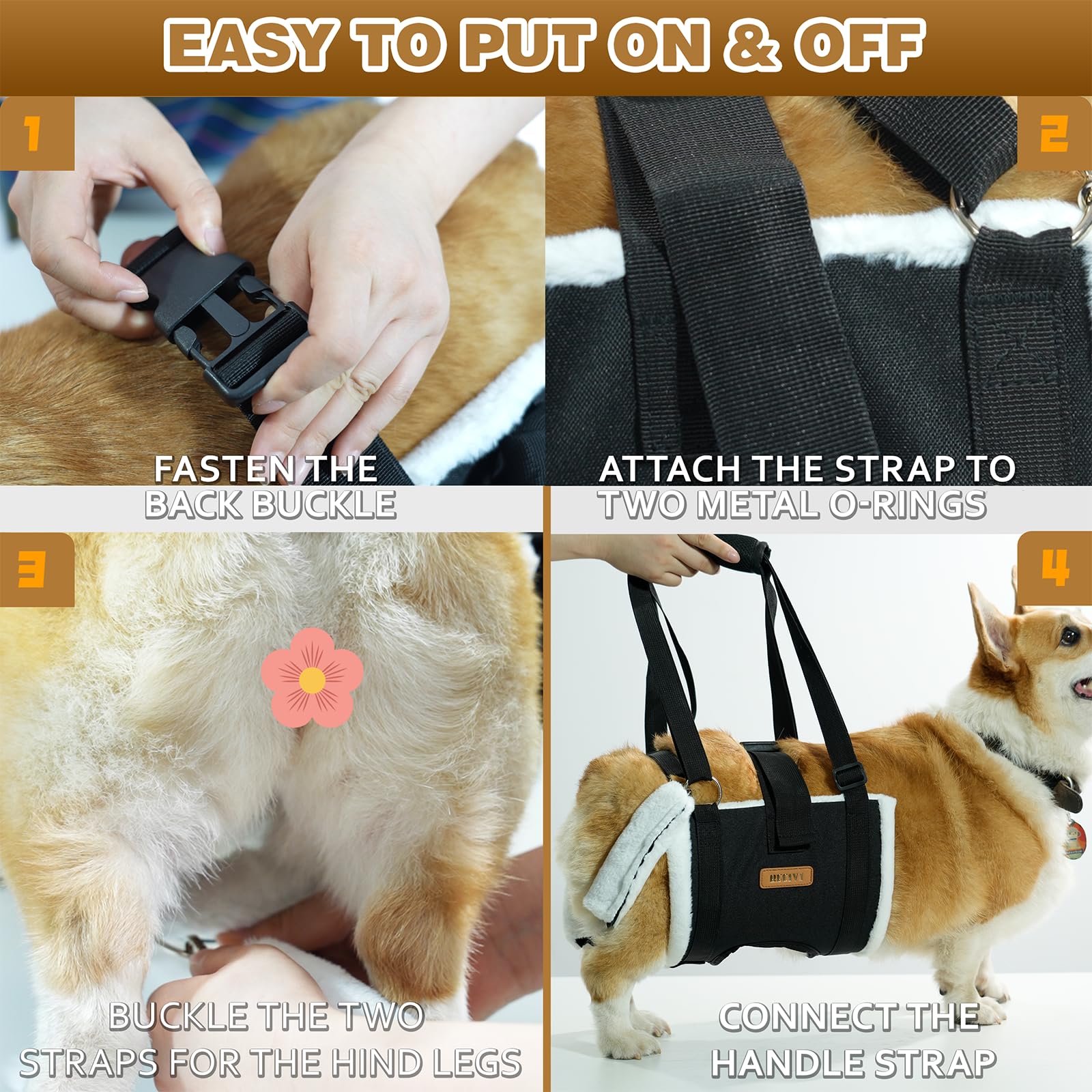 Becivi dog lift harness in-use steps illustrate simple lifting during daily activities.