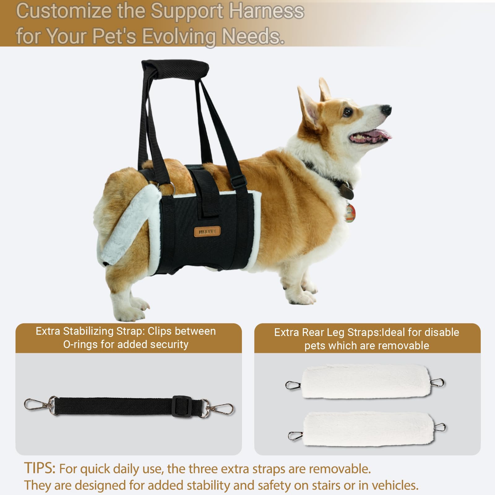 Becivi Dog Lift Harness padded handle emphasizes comfortable lifting during assists.