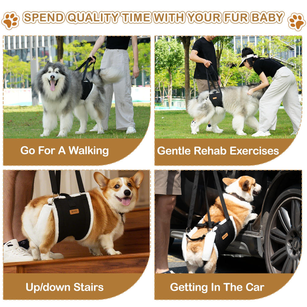 Becivi Dog Lift Harness post-surgery use showcases rehabilitation-friendly hind leg support.