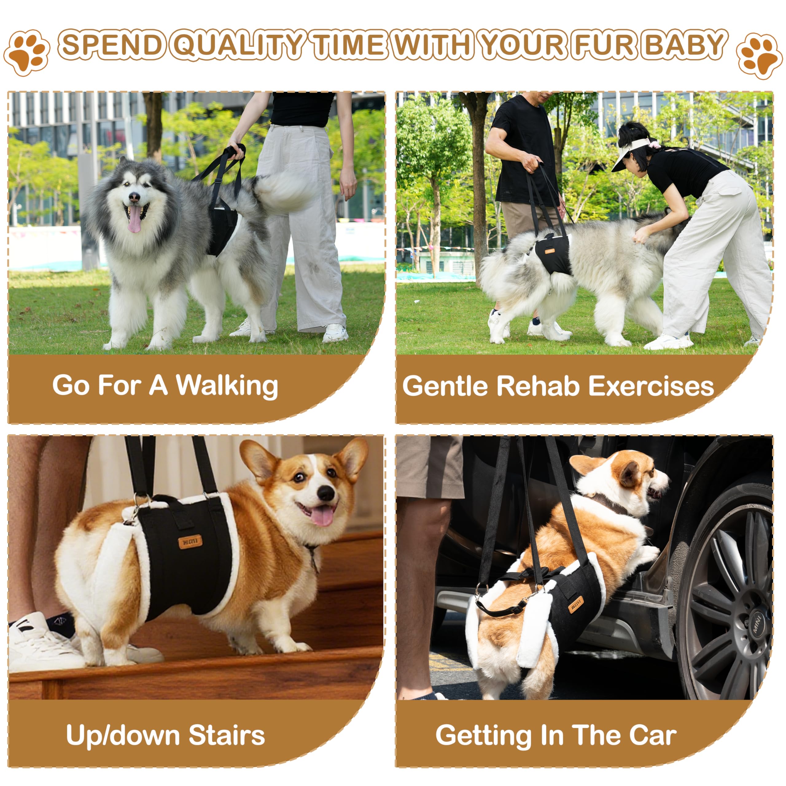 Becivi dog lift harness recovery use suggests post-surgery mobility assistance.