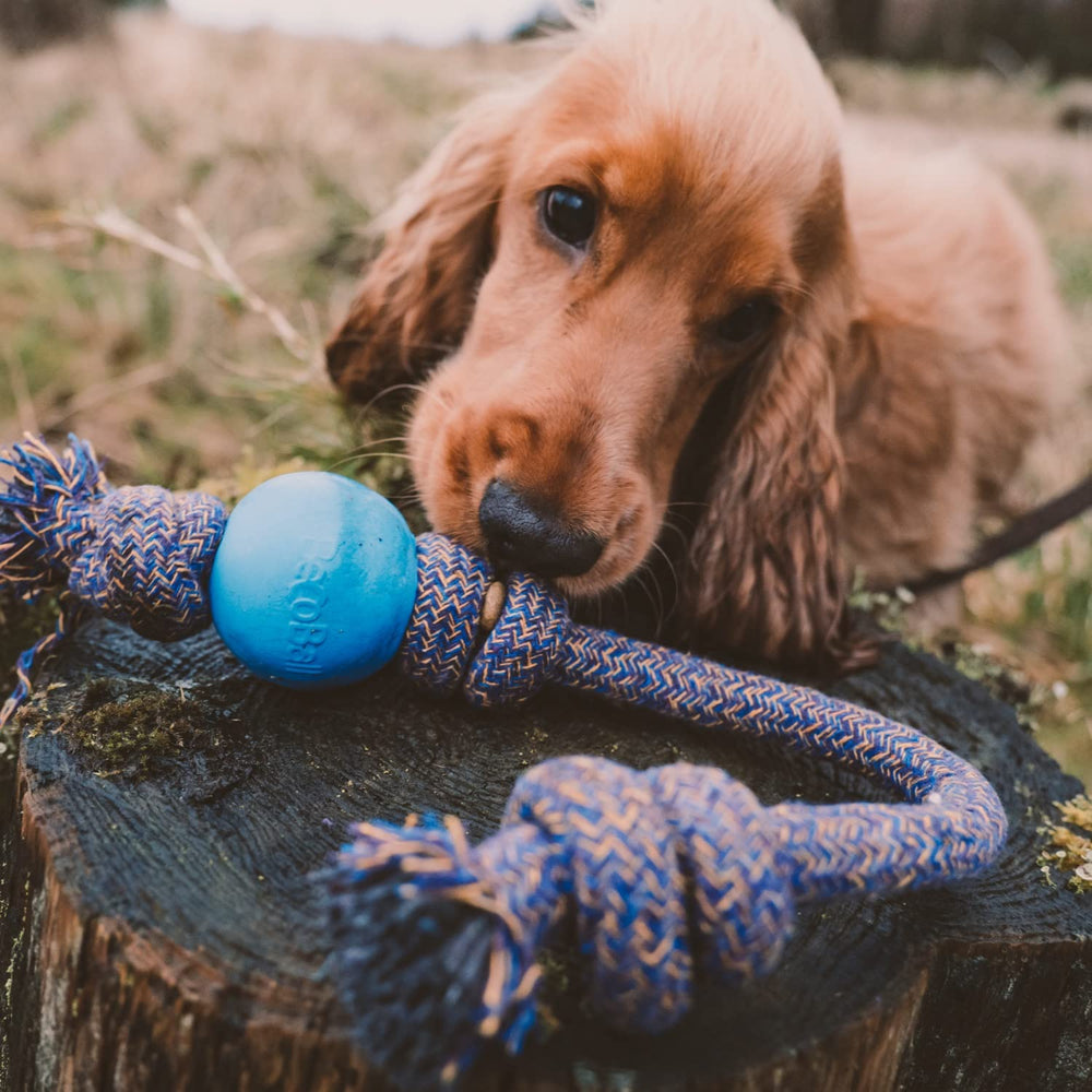 Beco Rubber Ball on Rope toy — green rope closeup for easy grip during fetch.