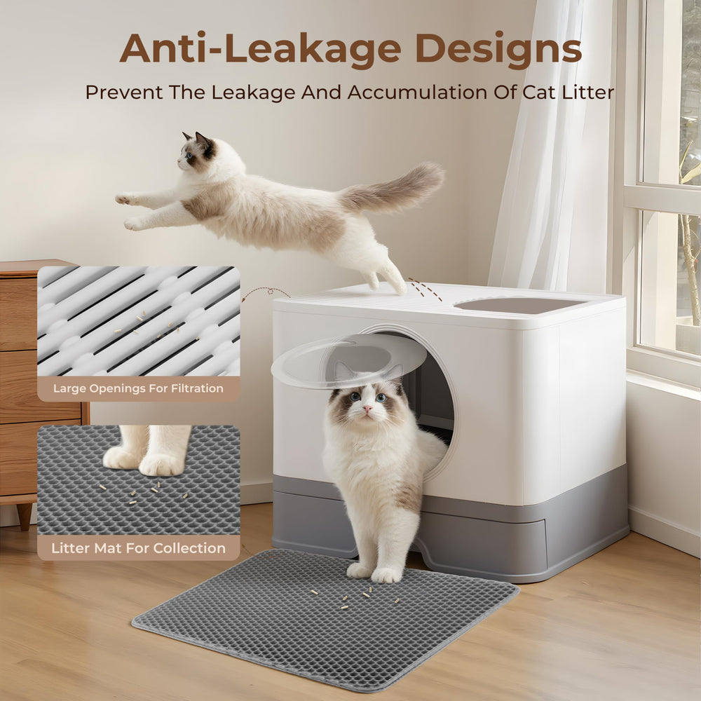 BeComfee 90L capacity reduces frequent refills in busy households.