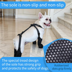 BECROWM anti-slip paw shoes provide confident traction on wet and icy surfaces.
