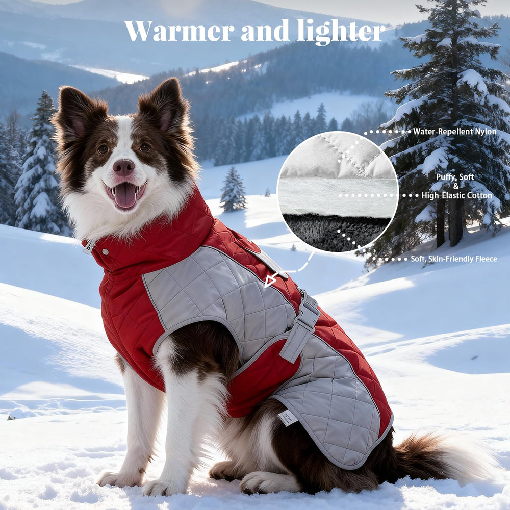 BECROWM dog coat adjustable side buckles provide a custom fit