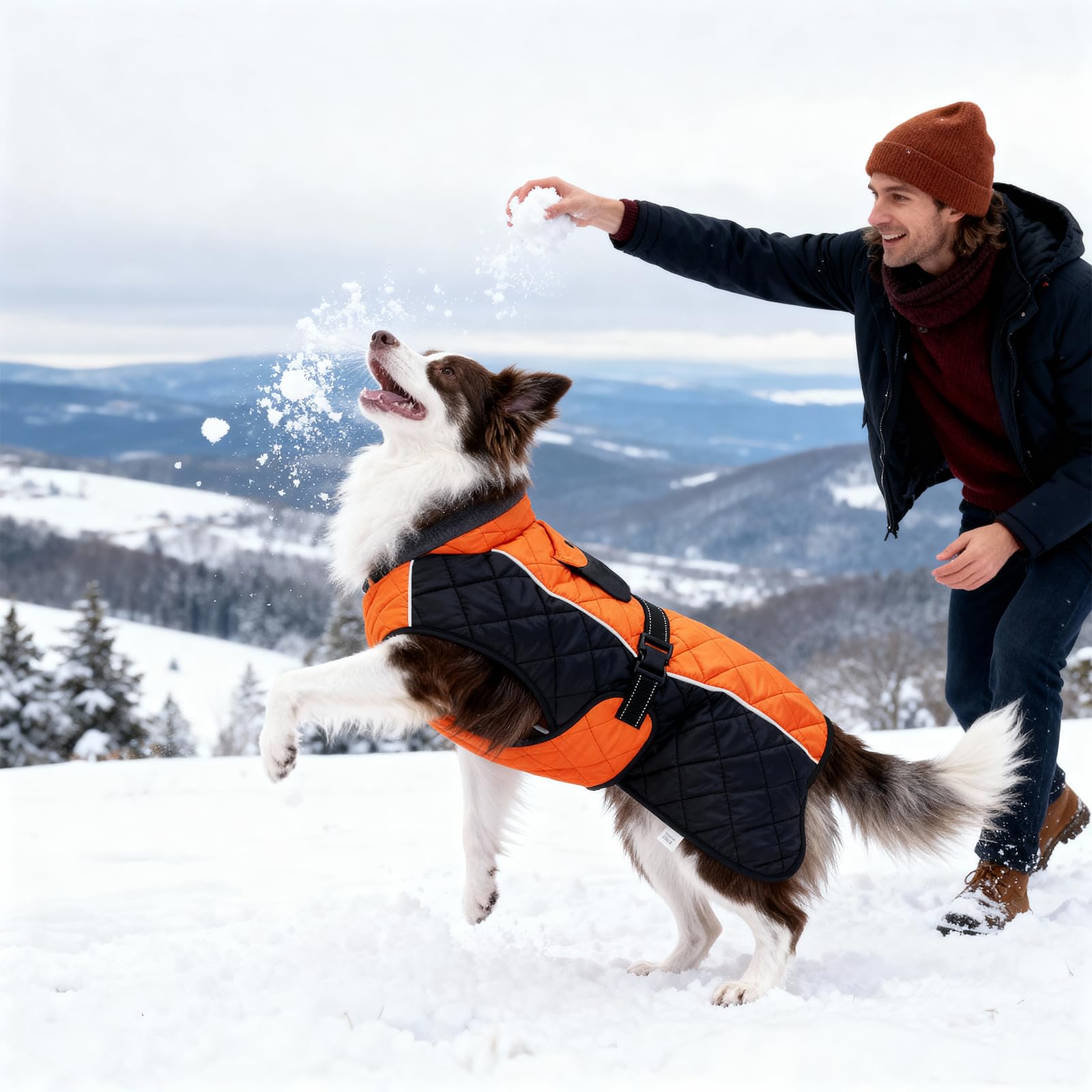 BECROWM dog coat reflective piping on all sides aids safety in low light.