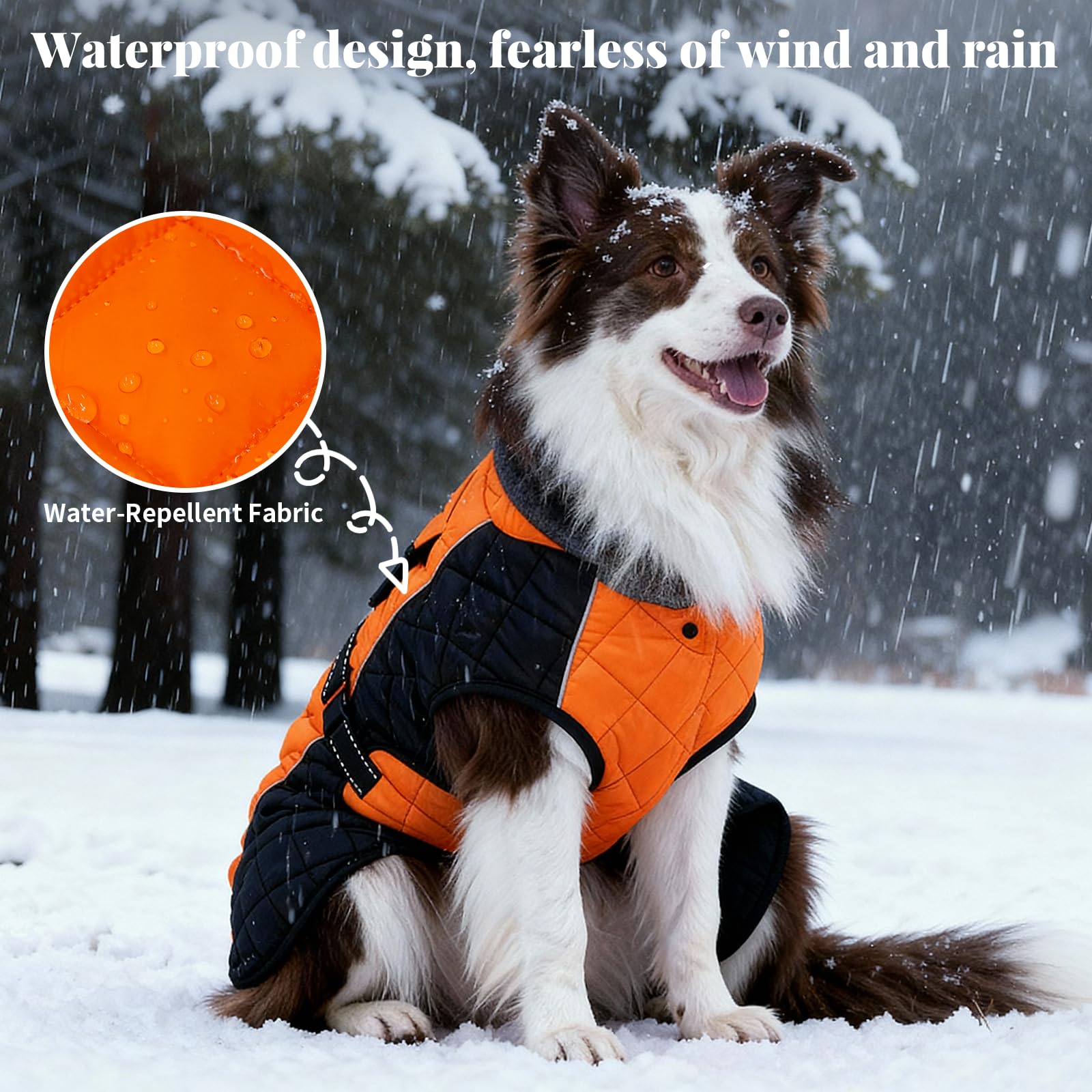 BECROWM dog coat reflective piping closeup enhances nighttime visibility for safer evening strolls.