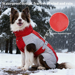 BECROWM dog coat with reflective piping for nighttime visibility during walks