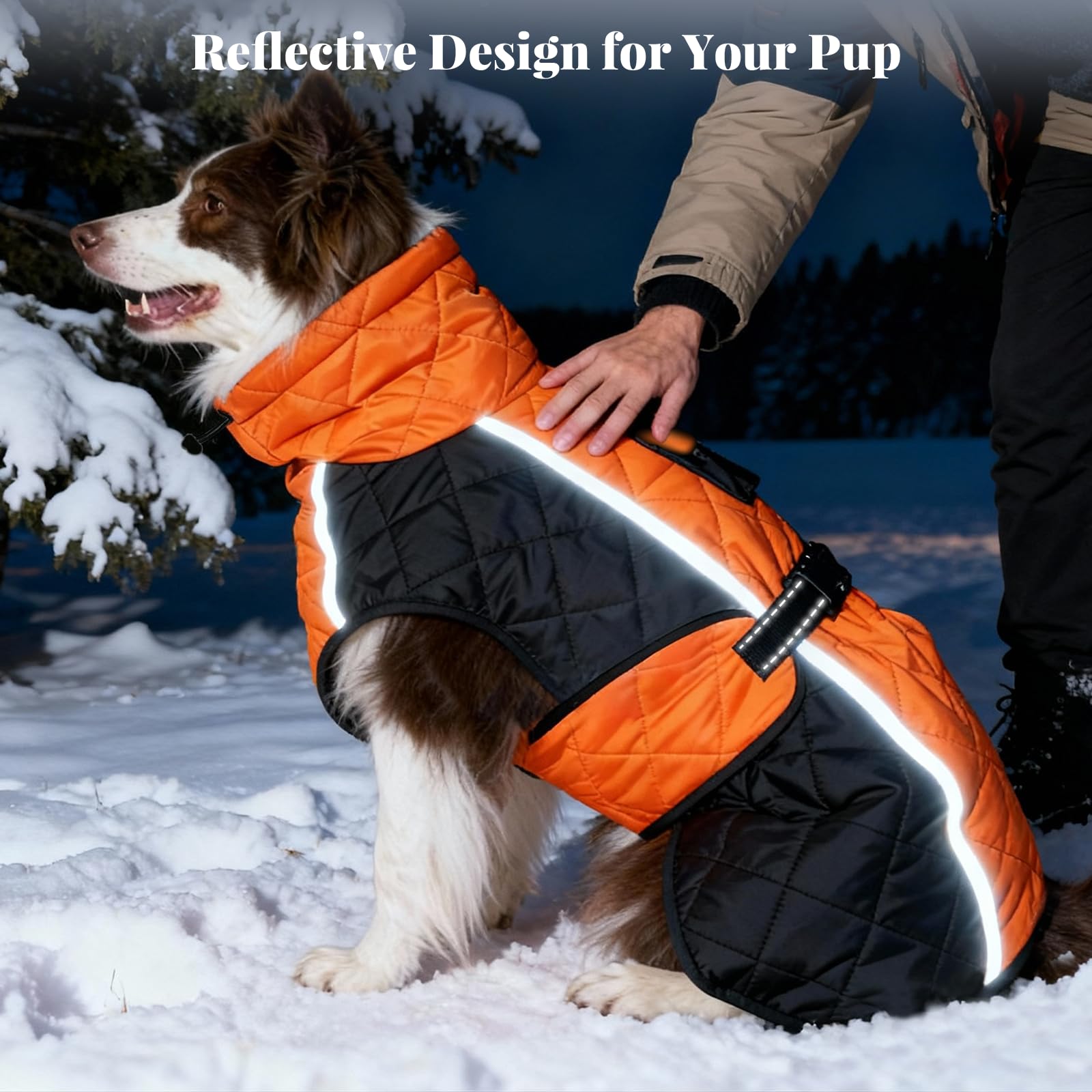 BECROWM dog coat stretchable leg holes suit wiggly paws