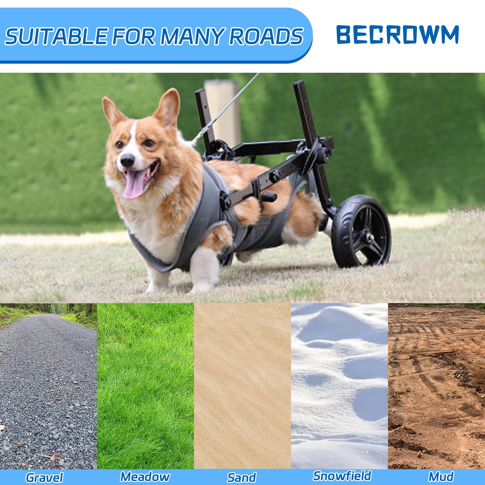 BECROWM dog wheelchair adjustable dimensions for personalized fit