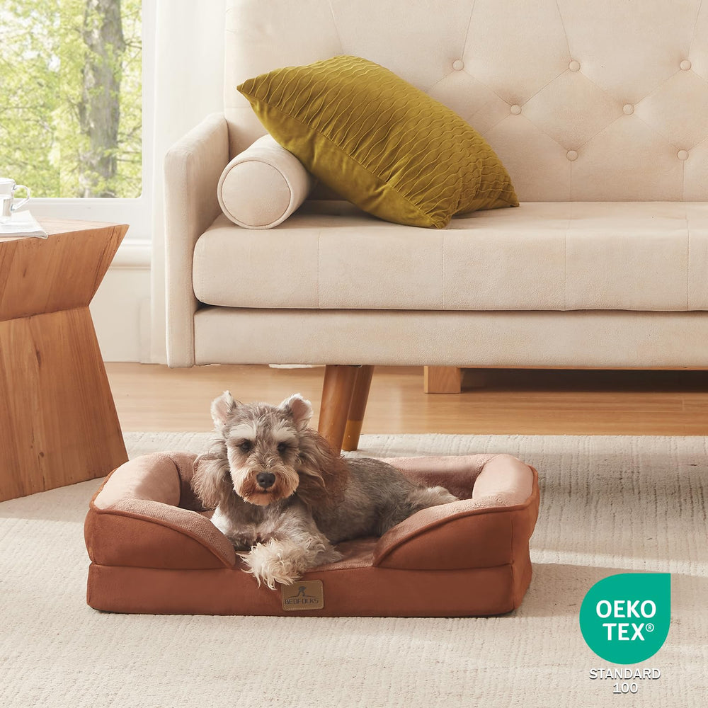 Bedfolks 24x18 size fits small dogs and cats comfortably.