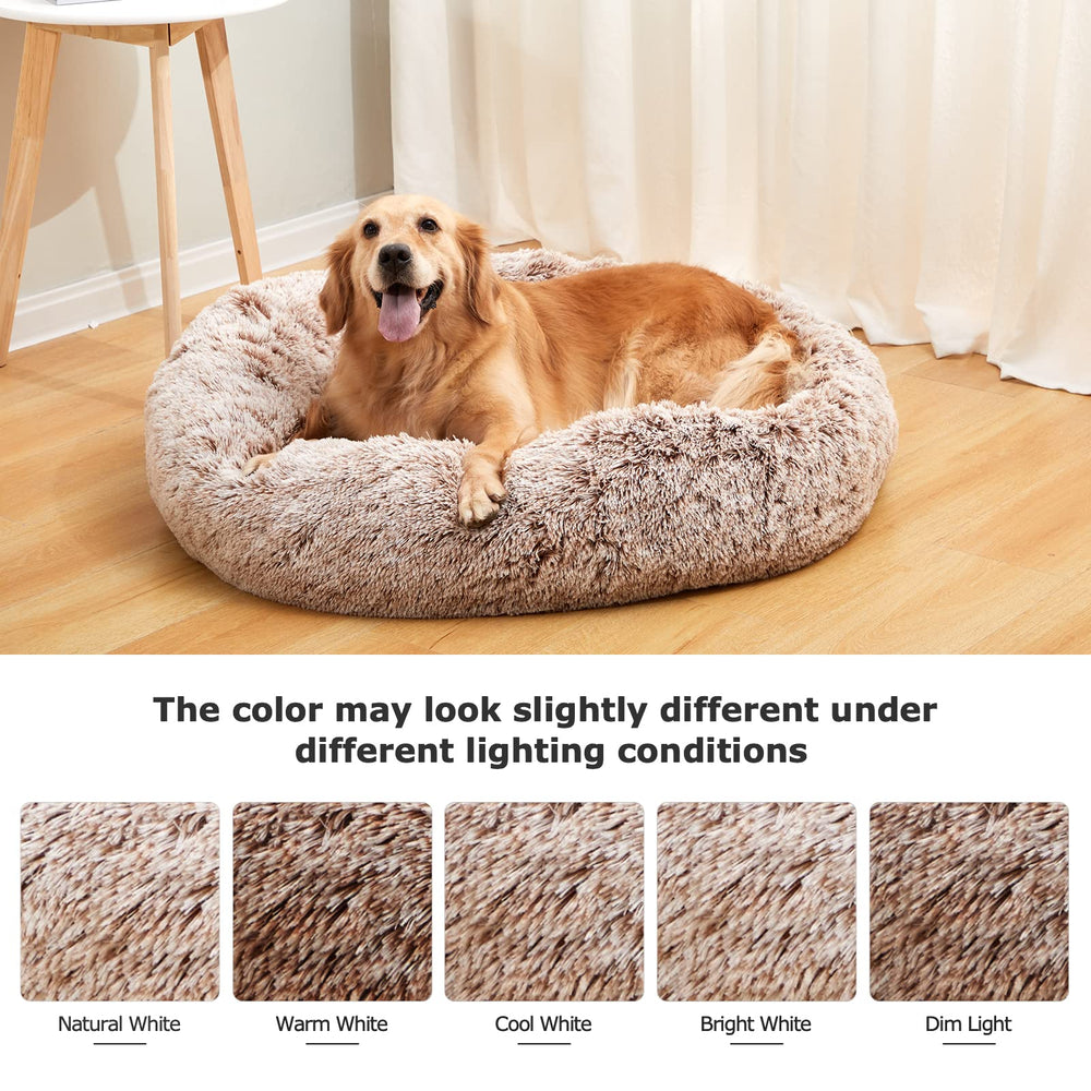 Bedfolks calming donut bed ready for snuggle sessions with pets