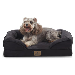 Bedfolks orthopedic dog bed front view showing compact small-pet size and design benefits